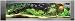 On The Edge 900312 Medium Wall Aquarium