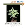 Criticizing Photographs: An Introduction to Understanding Images