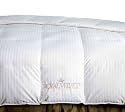 Royal Velvet Signature White Down Full-Queen Comforter