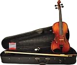 Doreli Model 79 Violin Outfit 1/2