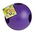 Jolly Pets Teaser Ball Dog Toy, Extra Large/10 Inches, Purple, X - Large/10 Inches (1510 PR)