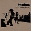Live at Lollapalooza 2003