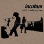 Live at Lollapalooza 2003