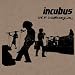 Live at Lollapalooza 2003