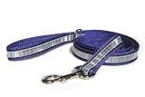 Illumidog Reflective Leash: Purple / 4ft.