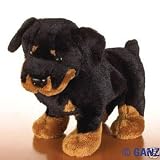 Webkinz Ganz Rottweiler