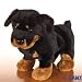 Webkinz Ganz Rottweiler