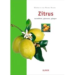 Zitrus (Gebundene Ausgabe)