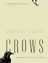 Crows: Encounters with the Wise Guys of the Avian World (Greystone Nature)
