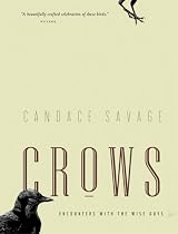 Crows: Encounters with the Wise Guys of the Avian World (Greystone Nature)
