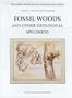 Fossil Woods and Other Geological Specimens. (The Paper Museum of Cassiano dal Pozzo. Series B: Natural History)