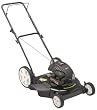 Poulan 22-Inch 5-Torque Side Discharge High Wheel Push Mower  (Non-CARB Compliant) #PO45N22SH