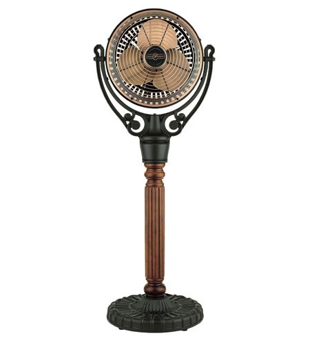 Fanimation Fans FPH21BL Old in Black