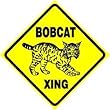 BOBCAT CROSSING wild cat mascot pet NEW sign