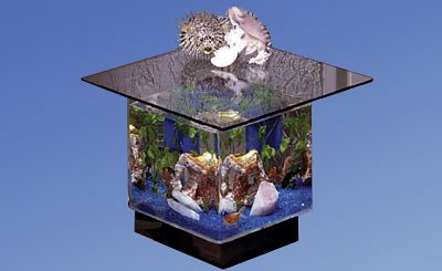 Buy Square End Table Table Aquarium- 15 Gallon Style