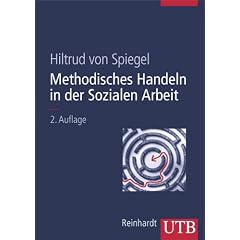 Methodisches Handeln in der Sozialen Arbeit (Broschiert)