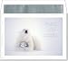 Polar Bear Imprintable Holiday Cards & Envelopes