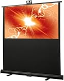 Draper 230161 60-Inch Piper HDTV Portable Screen