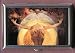 SALVADOR DALI ASCENSION OF CHRIST COIN, MINT OR PILL BOX: MADE IN USA! picture