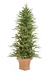 4.5' Pre-Lit Potted Frasier Artificial Christmas Tree With Clear Lights