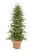 4.5' Pre-Lit Potted Frasier Artificial Christmas Tree With Clear Lights