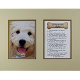 Dog Rules Goldendoodle Wall Decor Humorous Pet Dog Saying Keepsake Gift