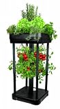 Upside Down Tomato Planter and Patio Garden System