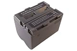 High Power Battery for Sharp BT-L441 BTL441 (Fits:Sharp VL-ME10, VL-WD450H, VL-H94E, VL-WD260U, VL-DC3H, VL-WD250H, VL-AX1S, VL-WD255U, VL-SD20E, VL-PD6H, VL-PD7, VL-PD3H, VL-PD5S, VL-ME100, VL-H880U, VL-PD3S, VL-EX3, VL-H875, VL-PD3AE, VL-MS1, VL-DX10, VL-ME100H, VL-WD650S, VL-ME10H, VL-WD450U, VL-H890, VL-WD450E, VL-DC50, VL-WD250U, VL-DC3, VL-WD250E, VL-AX1H, VL-SD20S, VL-SD20, VL-AX1, VL-PD6E, VL-PD3, VL-H996, VL-PD5, VL-G870, VL-H880, VL-PD3E, VL-PD1S, VL-H870U, VL-PD3A, VL-MR1, VL-DC3E, VL-ME100E, VL-WD650E, VL-ME10E, VL-WD450S, VL-H96E, VL-WD450, VL-DC5, VL-WD250S, VL-AX1U, VL-WD250, VL-AX1E, VL-SD20H, VL-PD6S, VL-R3K, VL-SD20U, VL-PD6, VL-ME10U, VL-H890U, VL-PD3U, VL-G1K, VL-H875U, VL-PD3AS, VL-MX1, VL-H870, VL-ME100S, VL-WD650U, VL-AH30U, VL-ME10S, VL-WD650)