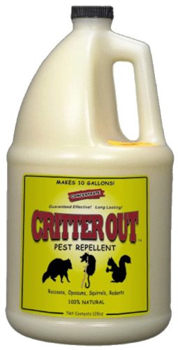 Mouse, Rat and Rodent Repellent: Critter Out 1 Gallon Concentrate (Makes 10 Gallons) Mouse, Rat and Rodent Repellent: Critter Out 1 Gallon Concentrate (Makes 10 Gallons)