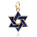 18k Gold Plated Sterling Silver Epoxy Star of David Charm