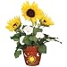Search : Paint-a-Pot - Sun and Moonflower Garden