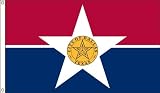 Dallas 2ft. X 3ft. Nylon Flag