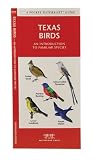 Texas Birds: An Introduction to Familiar Species (State Nature Guides)