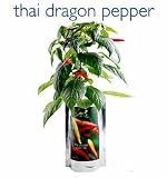 Outdoor Living : Thai pepper blooms-in-a-bag gift