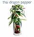 Thai pepper blooms-in-a-bag gift