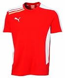PUMA Herren Trainings-Shirt Esito Tee, puma red-white, M, 652600 01