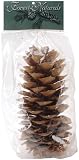Natural Large Sugar Pine Cone