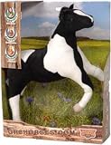 Myrtlewood Stables Jake the Pinto Horse