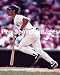 Don Mattingly New York Yankees 8x10 Photo