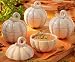 Pumpkin Covered Soup Bowls Set of 4