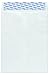 Columbian Tyvek Envelopes, 9x12 Inches, White, 100 Count (CO801)