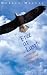Free At Last!: An Introduction to Prayer and the Spiritual Life