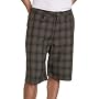 Quiksilver Young Men's Radar Walk Short