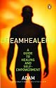 Dreamhealer 2 A Guide To Healing And Self Empowerment