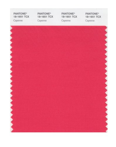 PANTONE SMART 18-1651X Color Swatch Card, Cayenne