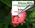 9 Kurze 2011 (zweisprachiges eBuch)