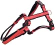 Dog Gone Smart Harness, 5/8" x 12-20", Red/Navy