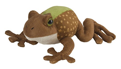 Northern Cricket Frog With Sound Soft Toy