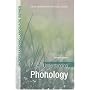 Understanding Phonology (Understanding Language series)