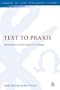 Text to Praxis: Hermeneutics and Homiletics in Dialogue (Library Of New Testament Studies)
